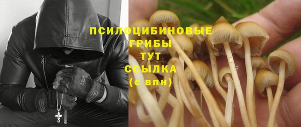 спайс Алексеевка