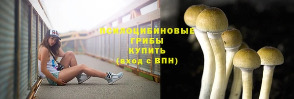 марки nbome Алзамай