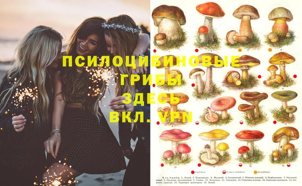 каннабис Абдулино
